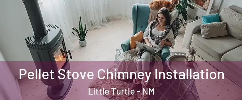 Pellet Stove Chimney Installation Little Turtle - NM