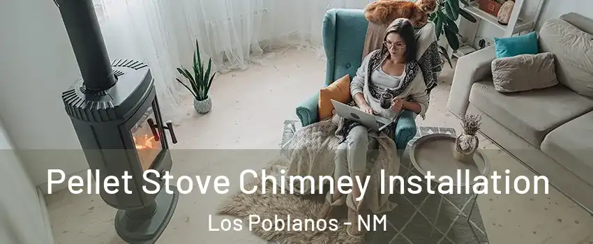 Pellet Stove Chimney Installation Los Poblanos - NM