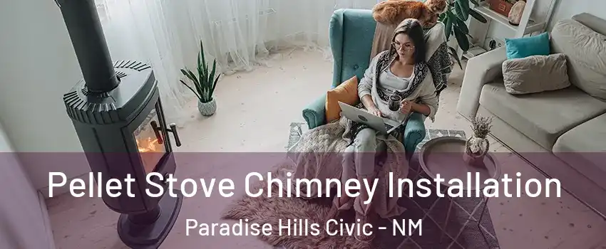 Pellet Stove Chimney Installation Paradise Hills Civic - NM