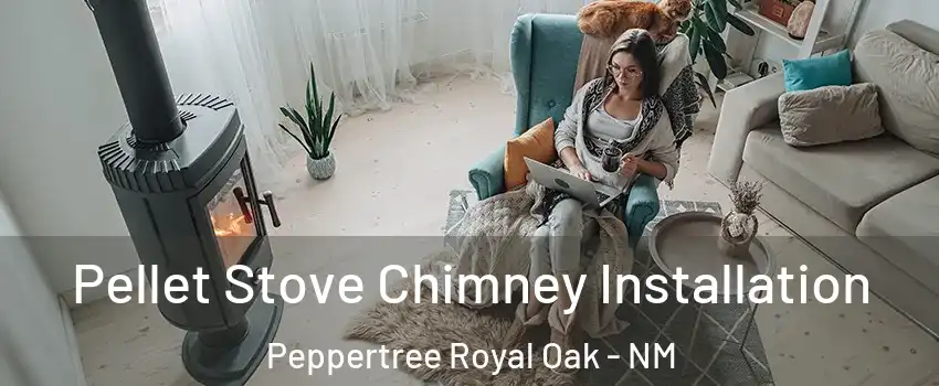 Pellet Stove Chimney Installation Peppertree Royal Oak - NM