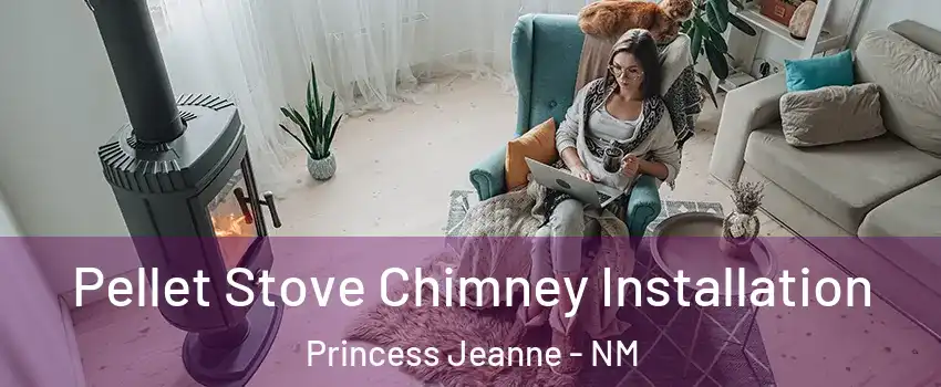 Pellet Stove Chimney Installation Princess Jeanne - NM