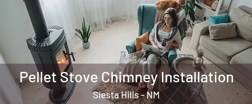 Pellet Stove Chimney Installation Siesta Hills - NM
