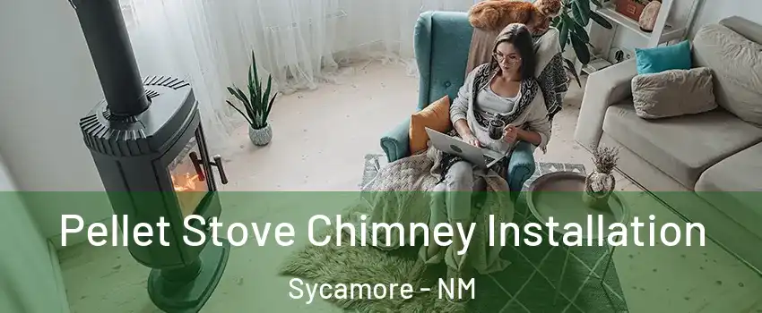 Pellet Stove Chimney Installation Sycamore - NM