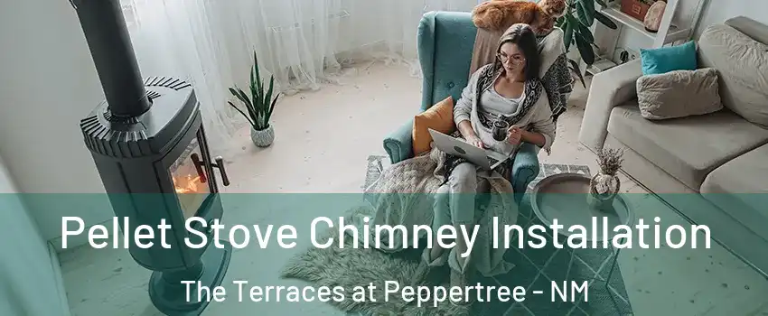 Pellet Stove Chimney Installation The Terraces at Peppertree - NM