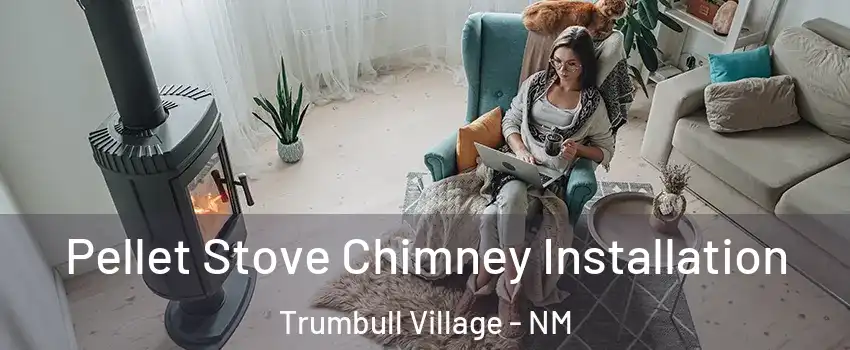 Pellet Stove Chimney Installation Trumbull Village - NM