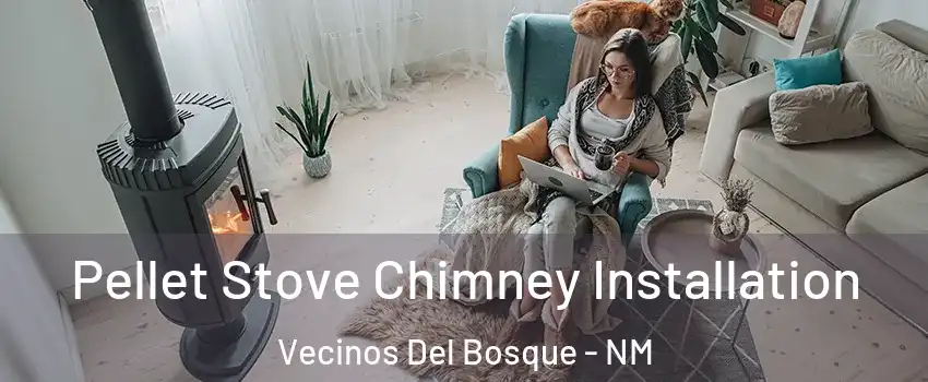 Pellet Stove Chimney Installation Vecinos Del Bosque - NM
