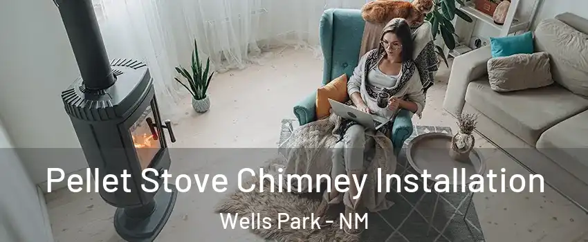 Pellet Stove Chimney Installation Wells Park - NM