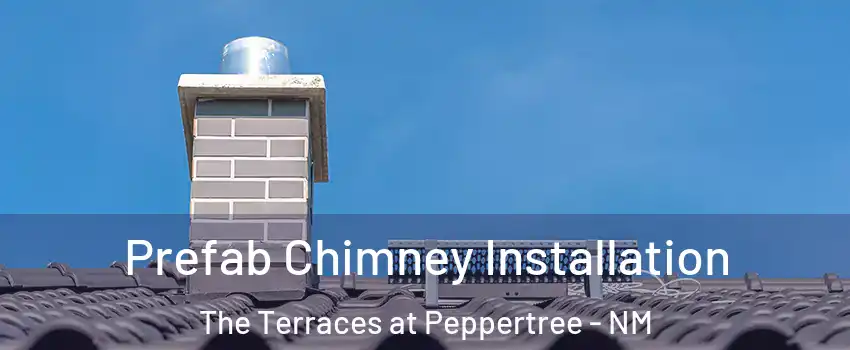 Prefab Chimney Installation The Terraces at Peppertree - NM