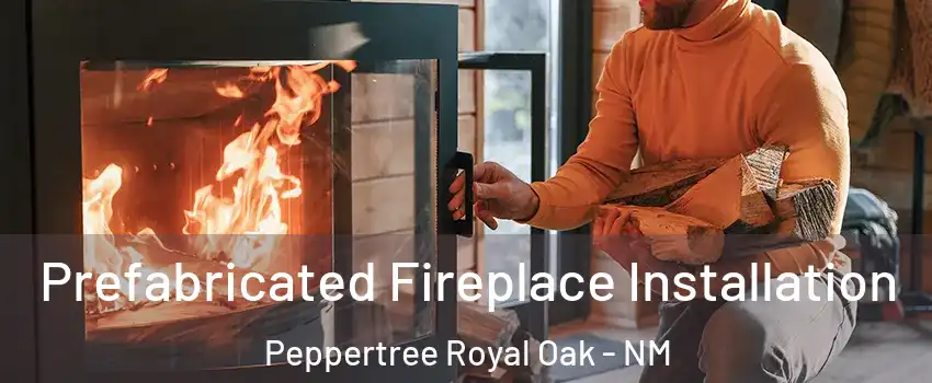 Prefabricated Fireplace Installation Peppertree Royal Oak - NM