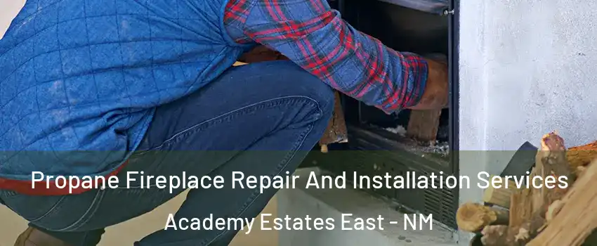 Propane Fireplace Repair And Installation Services Academy Estates East - NM