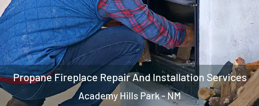 Propane Fireplace Repair And Installation Services Academy Hills Park - NM