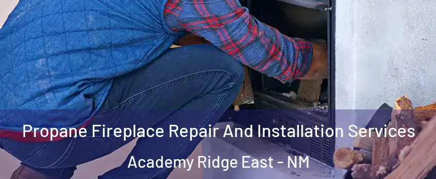 Propane Fireplace Repair And Installation Services Academy Ridge East - NM