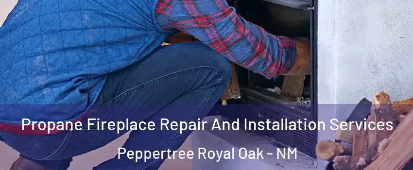 Propane Fireplace Repair And Installation Services Peppertree Royal Oak - NM