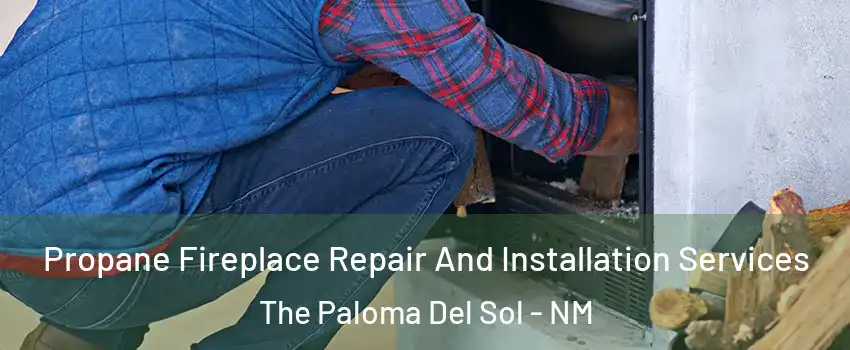 Propane Fireplace Repair And Installation Services The Paloma Del Sol - NM