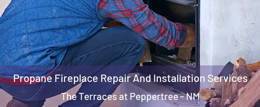 Propane Fireplace Repair And Installation Services The Terraces at Peppertree - NM