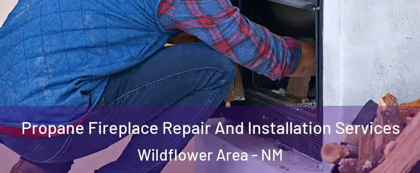 Propane Fireplace Repair And Installation Services Wildflower Area - NM