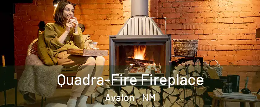 Quadra-Fire Fireplace Avalon - NM