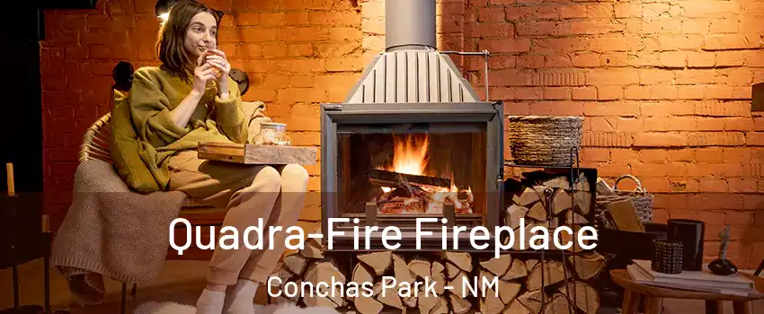 Quadra-Fire Fireplace Conchas Park - NM