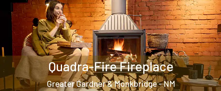 Quadra-Fire Fireplace Greater Gardner & Monkbridge - NM