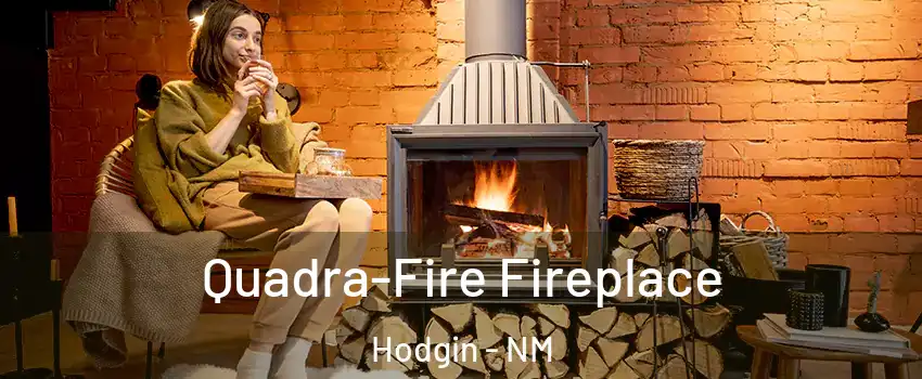 Quadra-Fire Fireplace Hodgin - NM