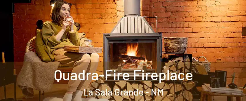 Quadra-Fire Fireplace La Sala Grande - NM