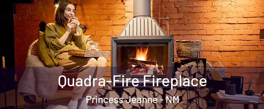 Quadra-Fire Fireplace Princess Jeanne - NM