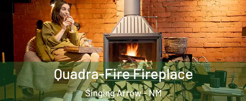 Quadra-Fire Fireplace Singing Arrow - NM