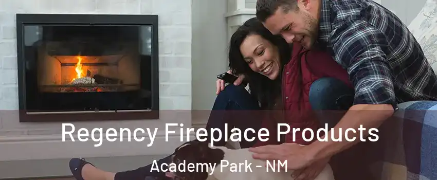 Regency Fireplace Products Academy Park - NM