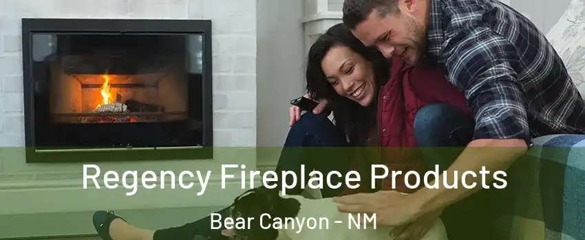 Regency Fireplace Products Bear Canyon - NM