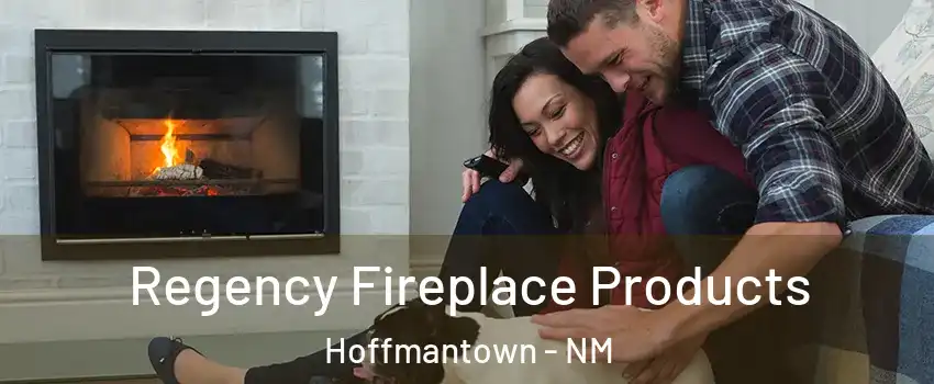 Regency Fireplace Products Hoffmantown - NM