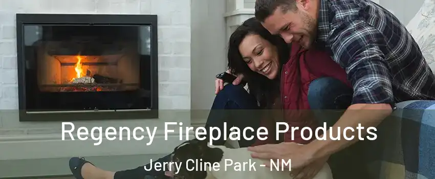 Regency Fireplace Products Jerry Cline Park - NM