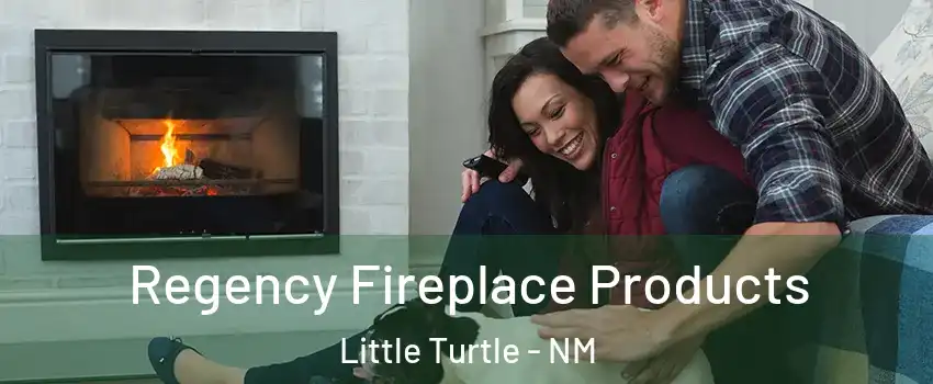 Regency Fireplace Products Little Turtle - NM