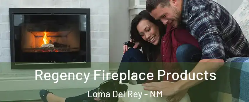 Regency Fireplace Products Loma Del Rey - NM