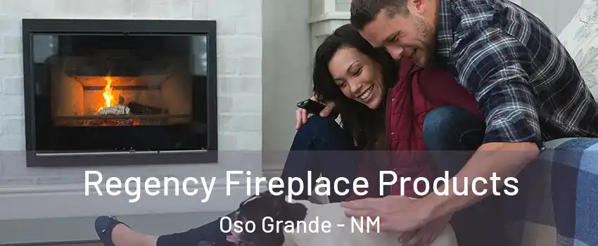 Regency Fireplace Products Oso Grande - NM