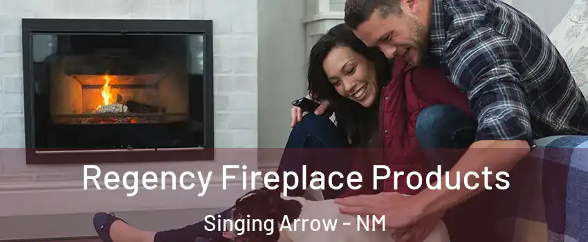 Regency Fireplace Products Singing Arrow - NM