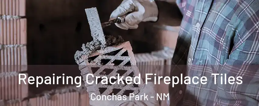 Repairing Cracked Fireplace Tiles Conchas Park - NM