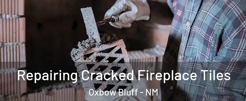 Repairing Cracked Fireplace Tiles Oxbow Bluff - NM