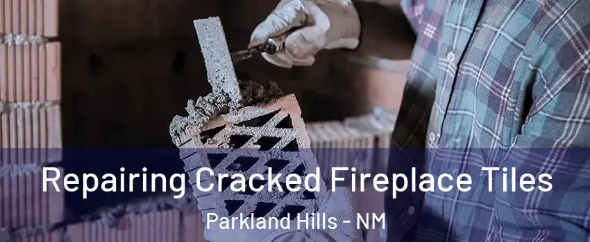 Repairing Cracked Fireplace Tiles Parkland Hills - NM