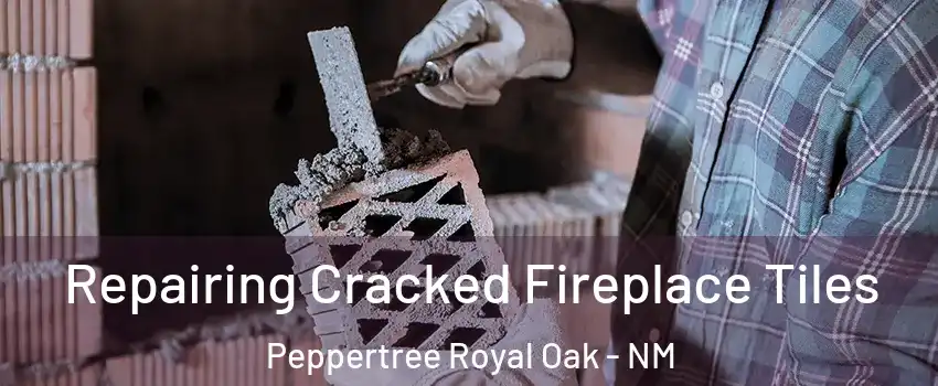 Repairing Cracked Fireplace Tiles Peppertree Royal Oak - NM