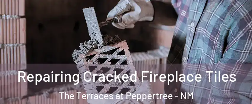Repairing Cracked Fireplace Tiles The Terraces at Peppertree - NM