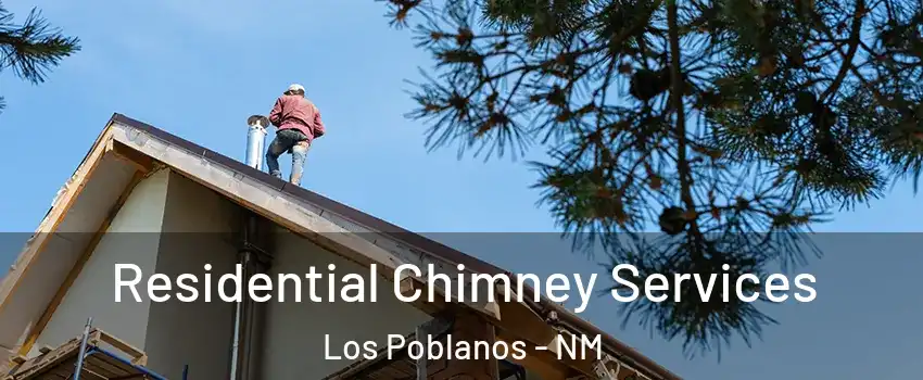 Residential Chimney Services Los Poblanos - NM