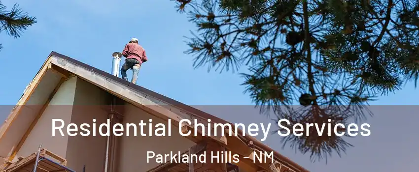 Residential Chimney Services Parkland Hills - NM
