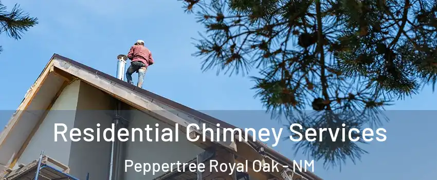 Residential Chimney Services Peppertree Royal Oak - NM