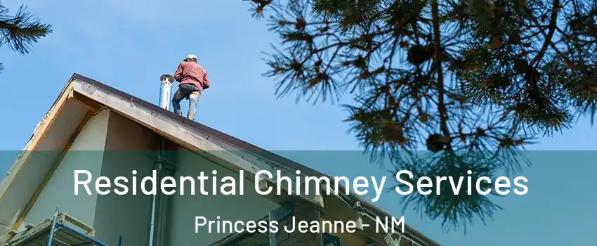 Residential Chimney Services Princess Jeanne - NM
