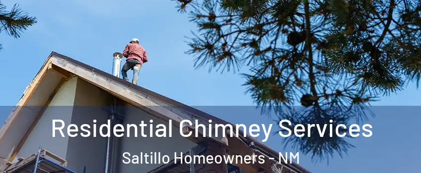 Residential Chimney Services Saltillo Homeowners - NM