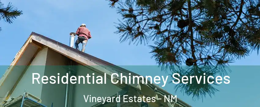 Residential Chimney Services Vineyard Estates - NM
