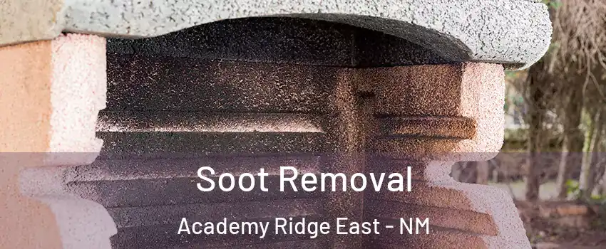Soot Removal Academy Ridge East - NM