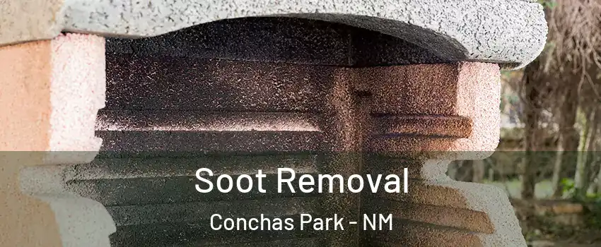 Soot Removal Conchas Park - NM