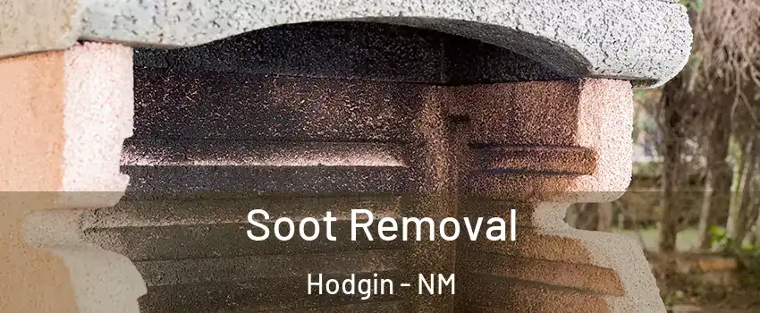 Soot Removal Hodgin - NM