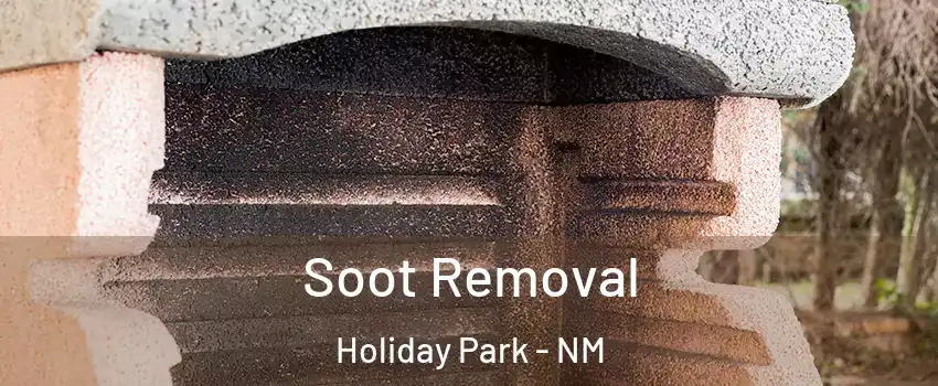 Soot Removal Holiday Park - NM